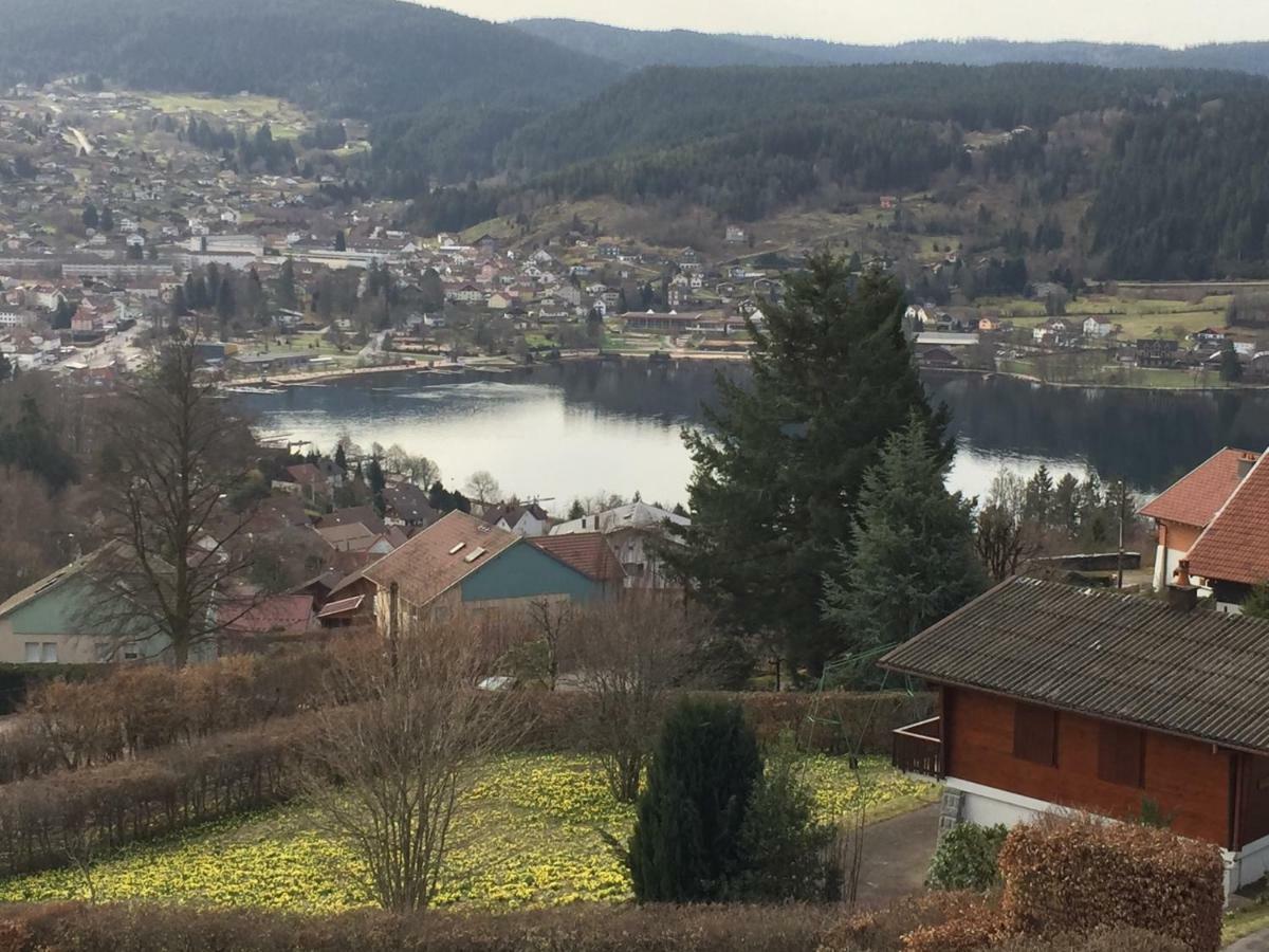 Le Grenier Du 11 * Gerardmer